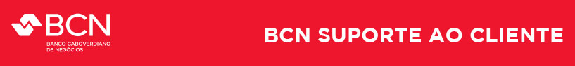 BCN Suporte - apoio aos clientes